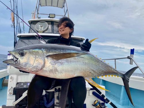 キハダマグロの釣果