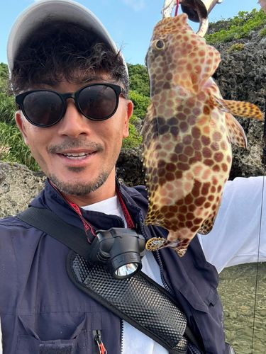 ヤイトハタの釣果