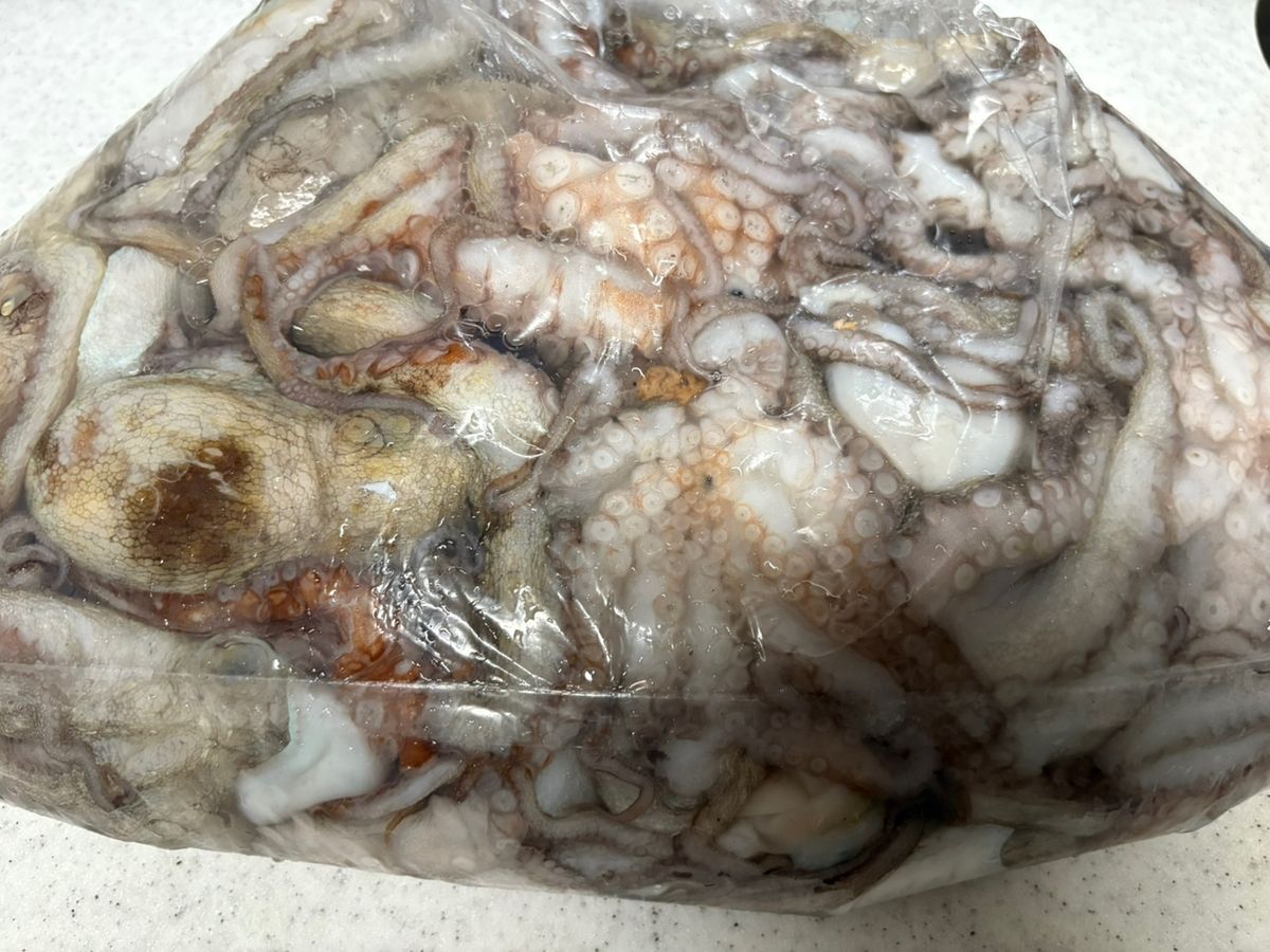 hirojinさんの釣果 3枚目の画像