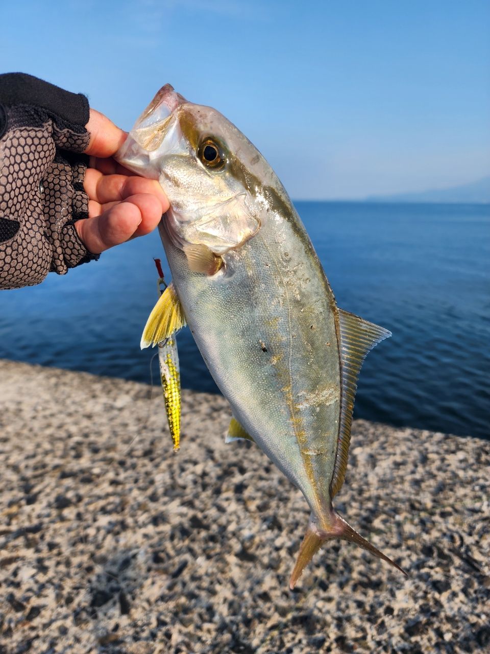 SHIMANO - 15 ルナミス　110M 中古美品　サーフ　ショアジギング Yahoo!オークション -「ルナミス」の落札相場・落札価格