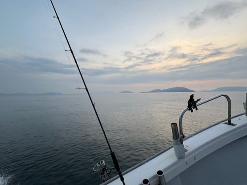 タイの釣果
