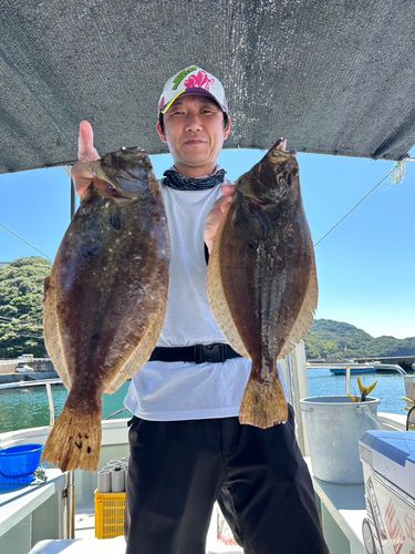 ヒラメの釣果