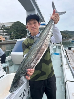 サワラの釣果