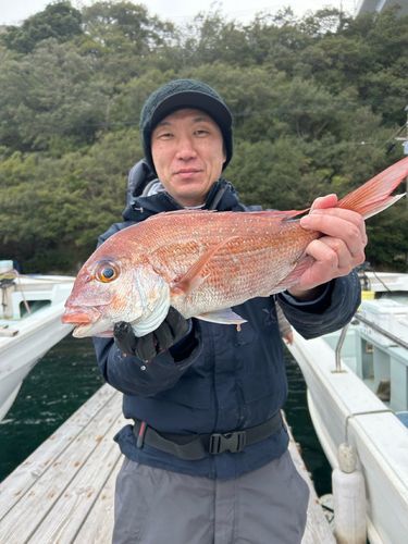 タイの釣果