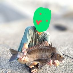 チヌ