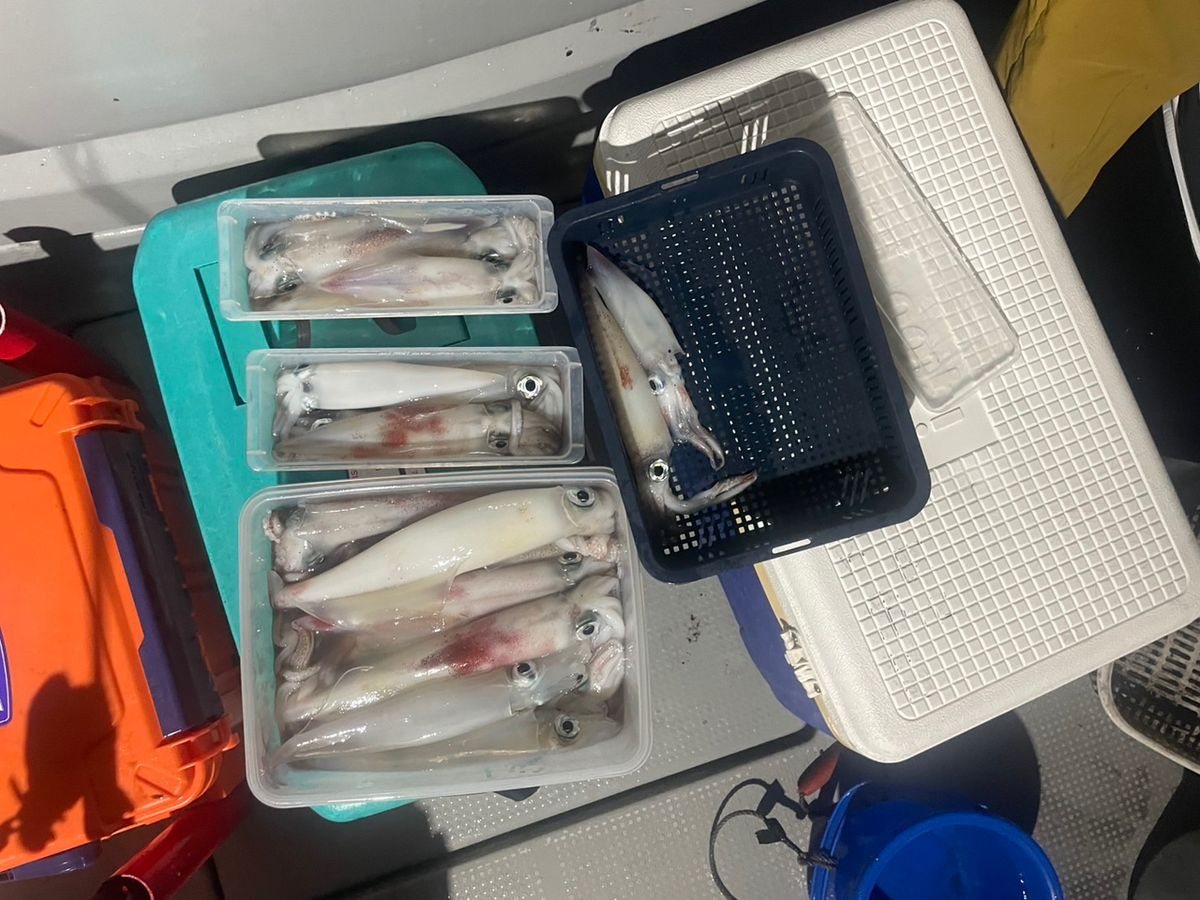 田畑良朗@なつき丸さんの釣果 2枚目の画像