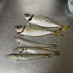 アジ