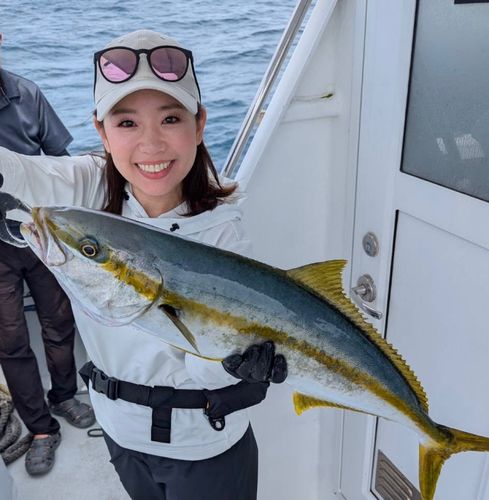 ヒラマサの釣果
