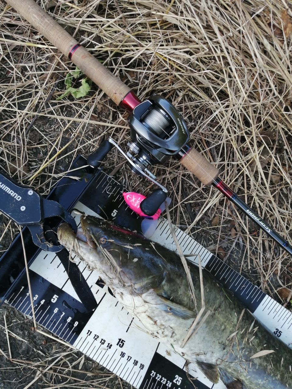 SHIMANO - 19スコーピオン 1652R-5 s-l400.jpg