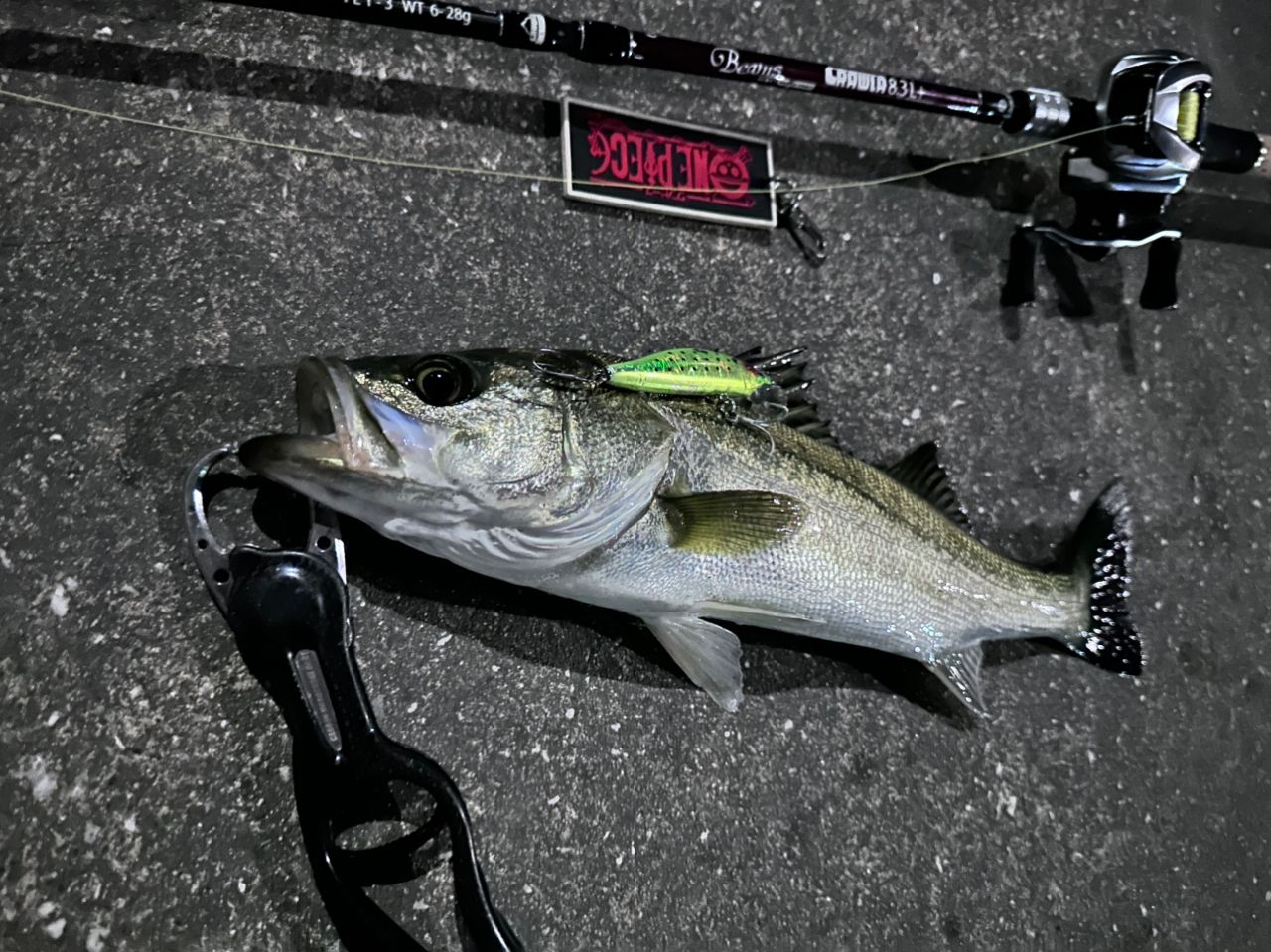 DAIWA 20ジリオン SV TW 1000XHLの最安値・インプレ・釣果
