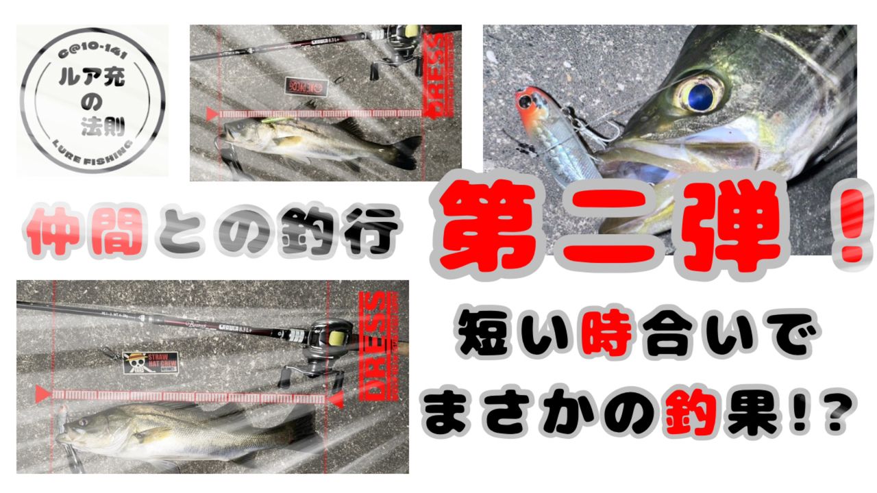 シーバス