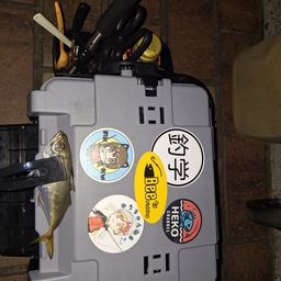 アジ
