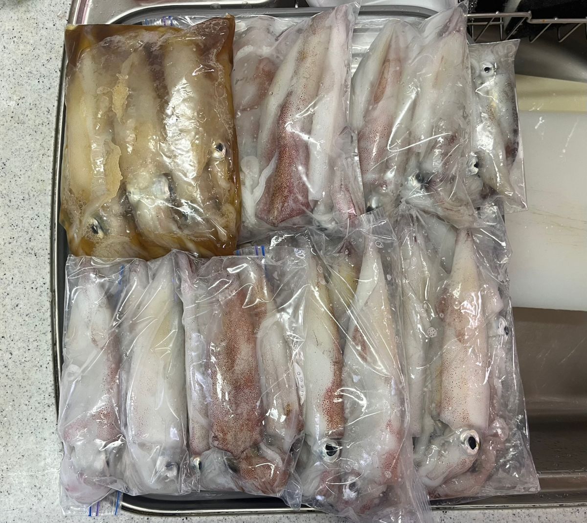 Guest40677787さんの釣果 2枚目の画像