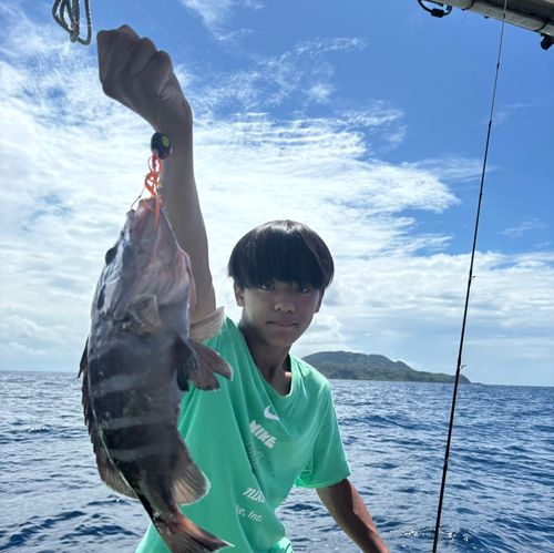 アマダイの釣果