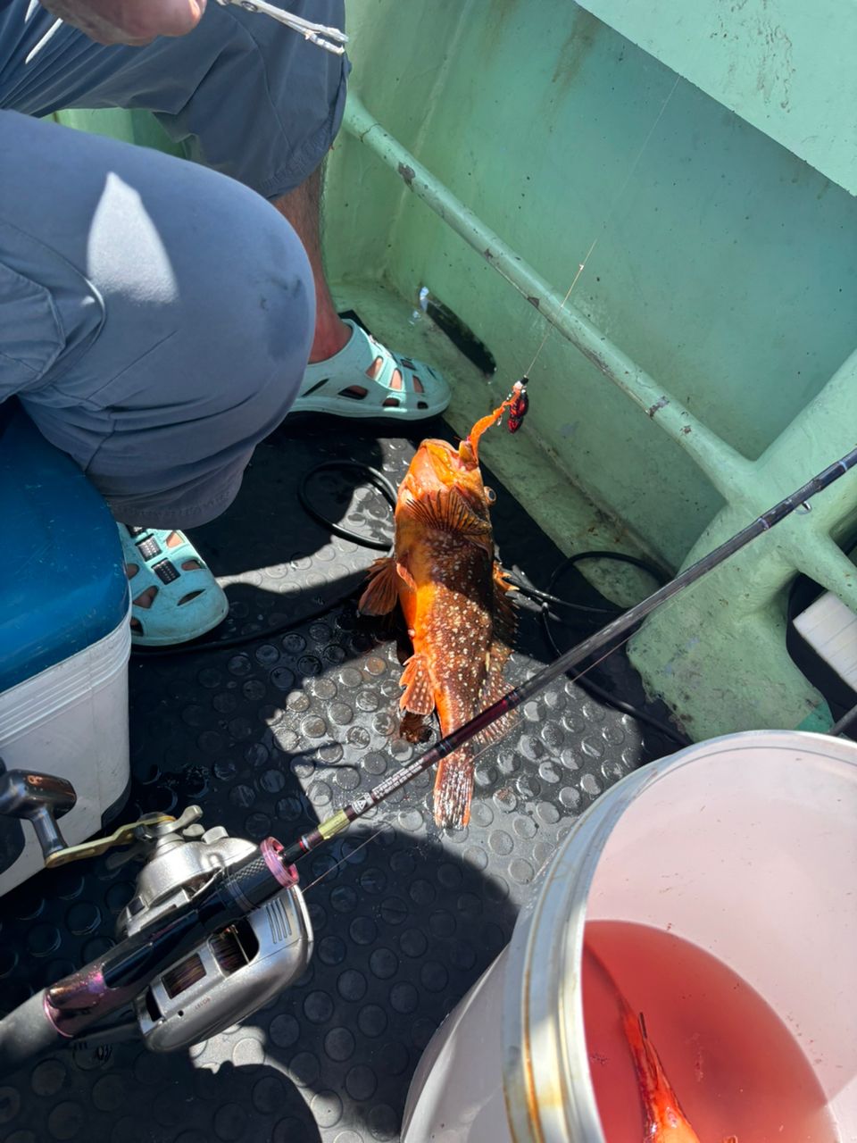 新潟寝屋港昭和丸さんの釣果 3枚目の画像