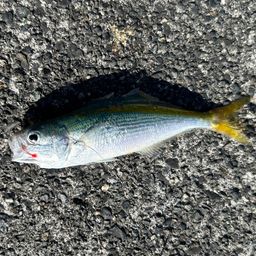 タカベ