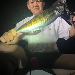 アジ