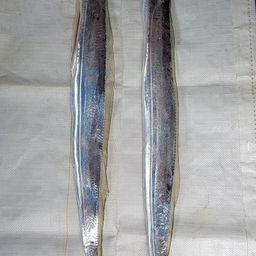 タチウオ