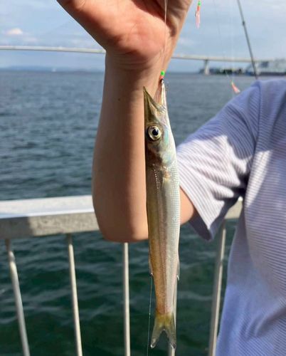 釣果