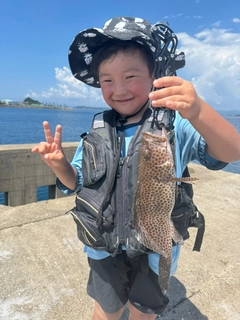 オオモンハタの釣果