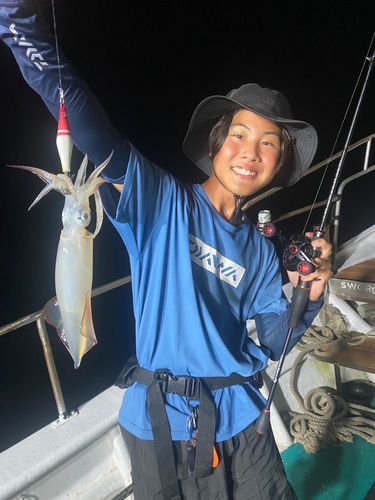 ケンサキイカの釣果