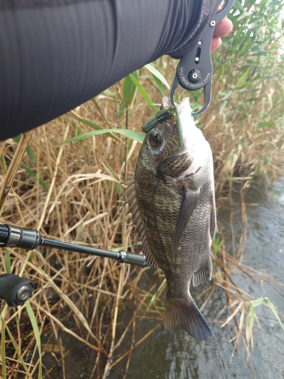 アブガルシア エラディケーター パワーフィネス 710MLT-TZ 楽天市場】AbuGarcia Eradicator Powerfinesse (エラ