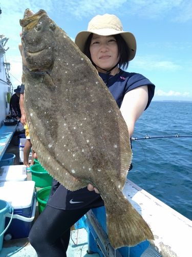 ヒラメの釣果