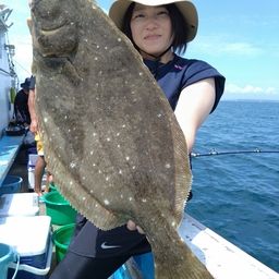 ヒラメ