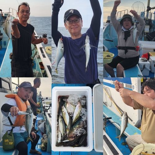 マアジの釣果