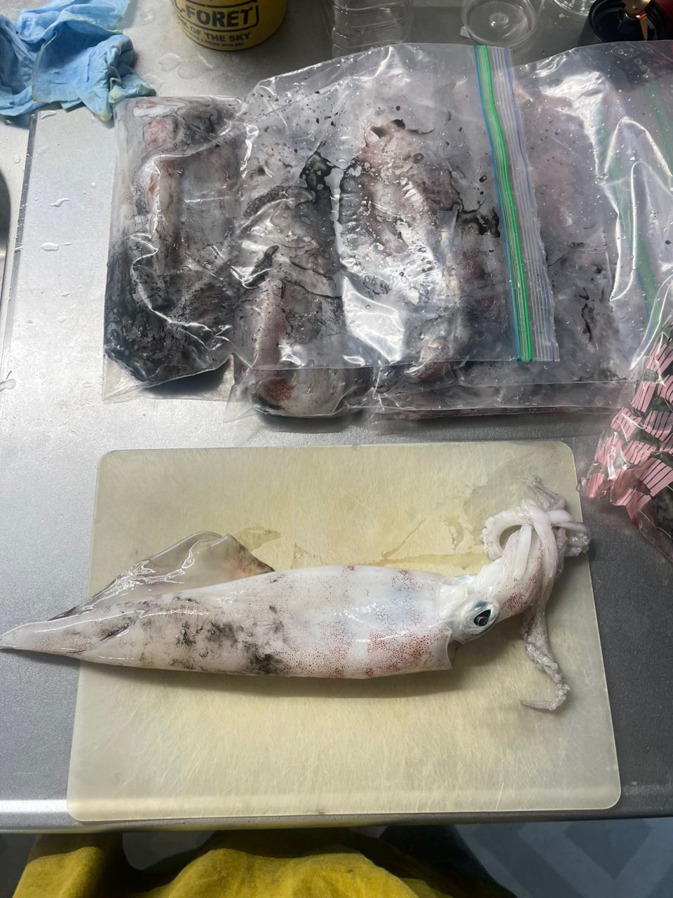 ちち711さんの釣果 1枚目の画像