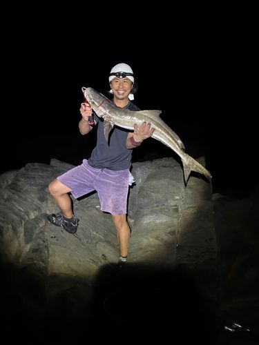 スギの釣果