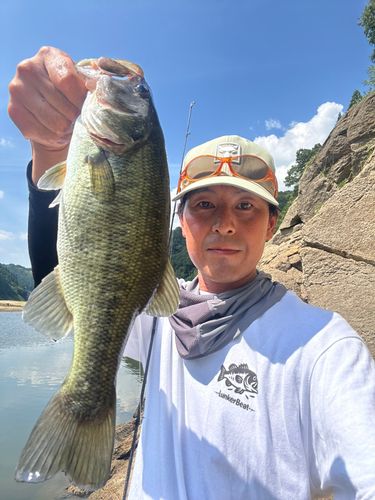 ラージマウスバスの釣果