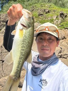 ラージマウスバスの釣果