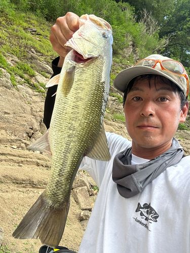 ラージマウスバスの釣果