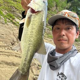 ラージマウスバス