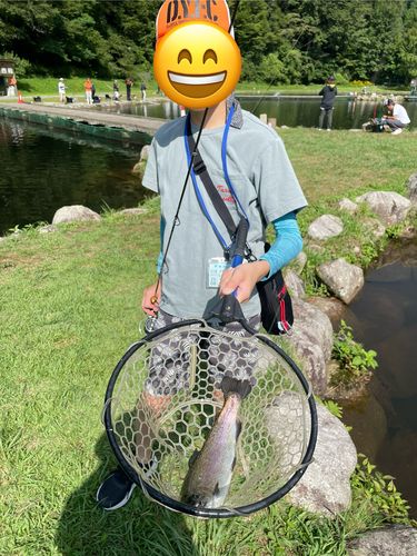 ニジマスの釣果