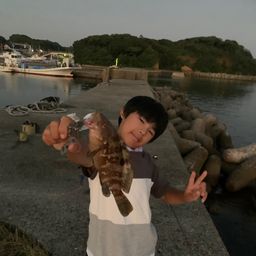 キジハタ