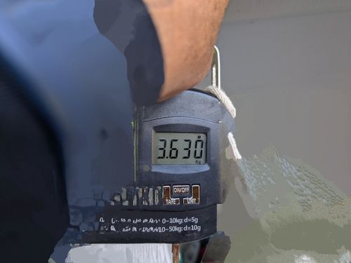 フクラギの釣果