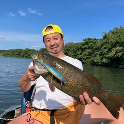 ブラックバス
