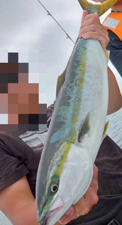 ワラサの釣果
