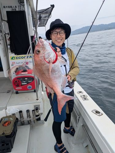 マダイの釣果