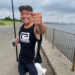 シロギス