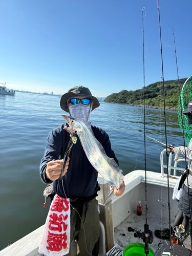 タチウオの釣果