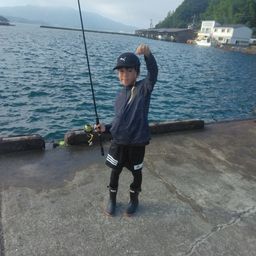 シロギス