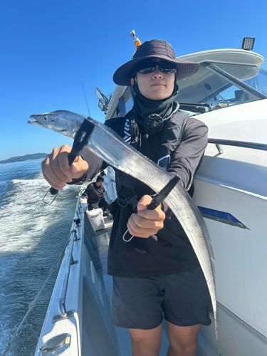 タチウオの釣果