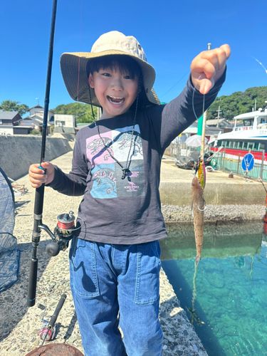 エソの釣果