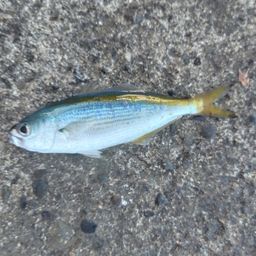タカベ