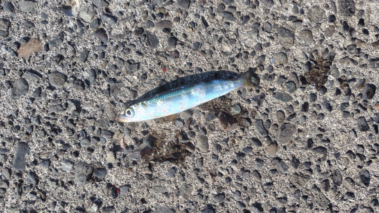 タカベ