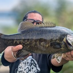 スモールマウスバス