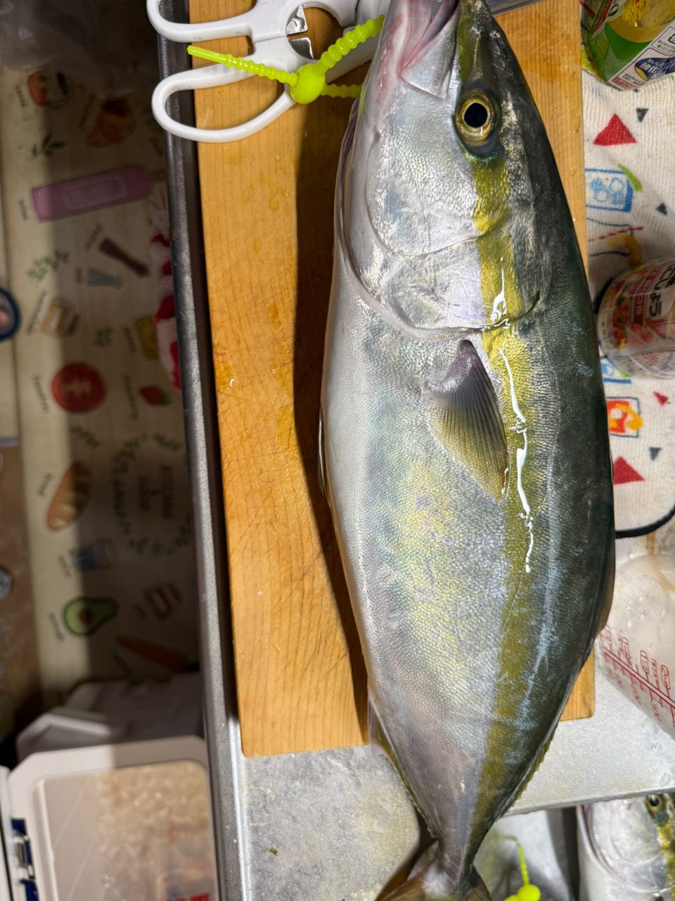 アングラー2594814さんの釣果 2枚目の画像